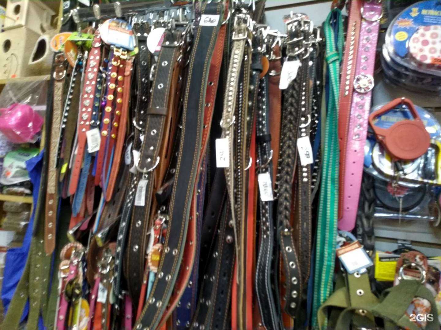 Отзывы на компанию Зоомагазин в г. Казань c фото