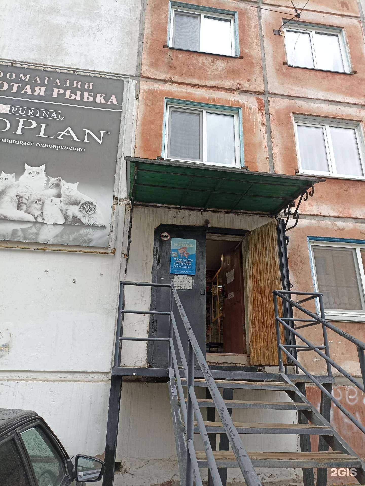 Отзывы на компанию Золотая рыбка в Ачинске c фото