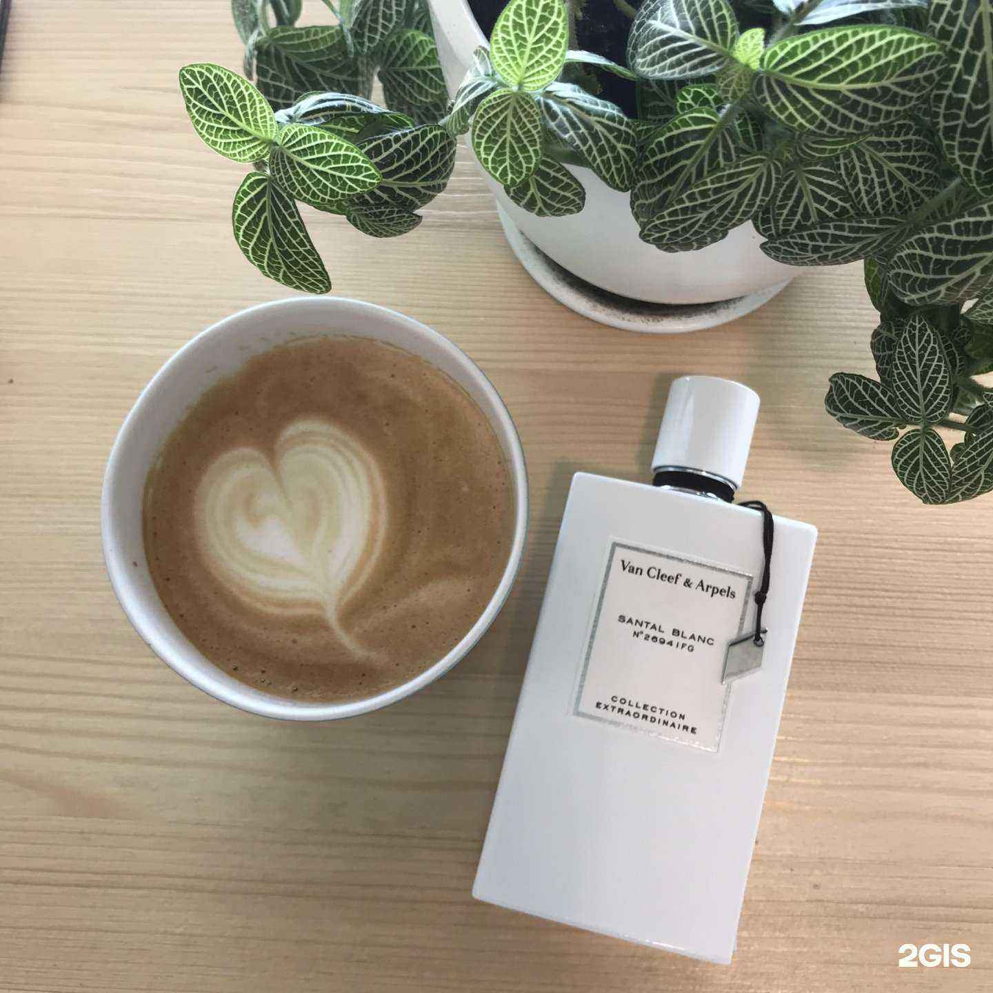 Отзывы на компанию Nisha в Волгограде c фото