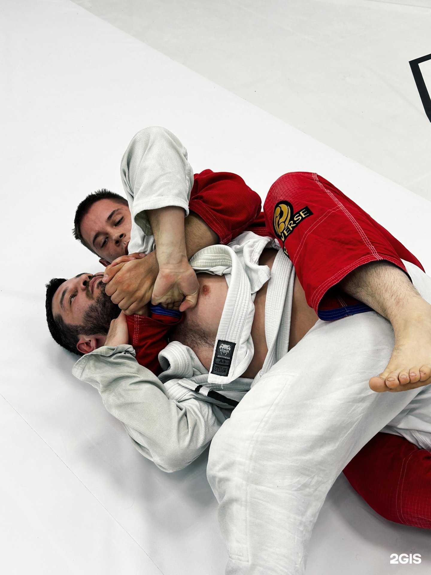 Отзывы на компанию Armada в Екатеринбурге c фото