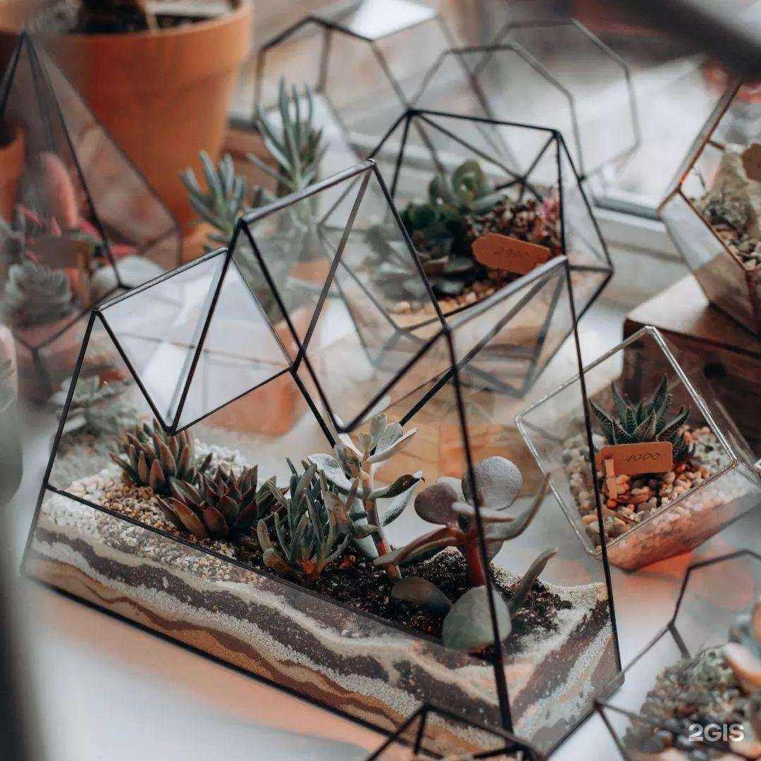 Отзывы на компанию Vetro в г. Нижний Новгород c фото