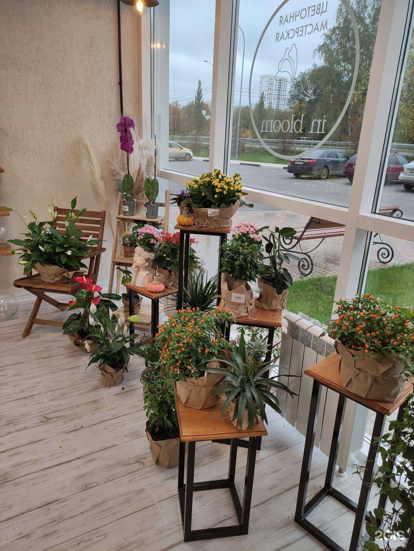 Отзывы на компанию In bloom в г. Щёлково c фото