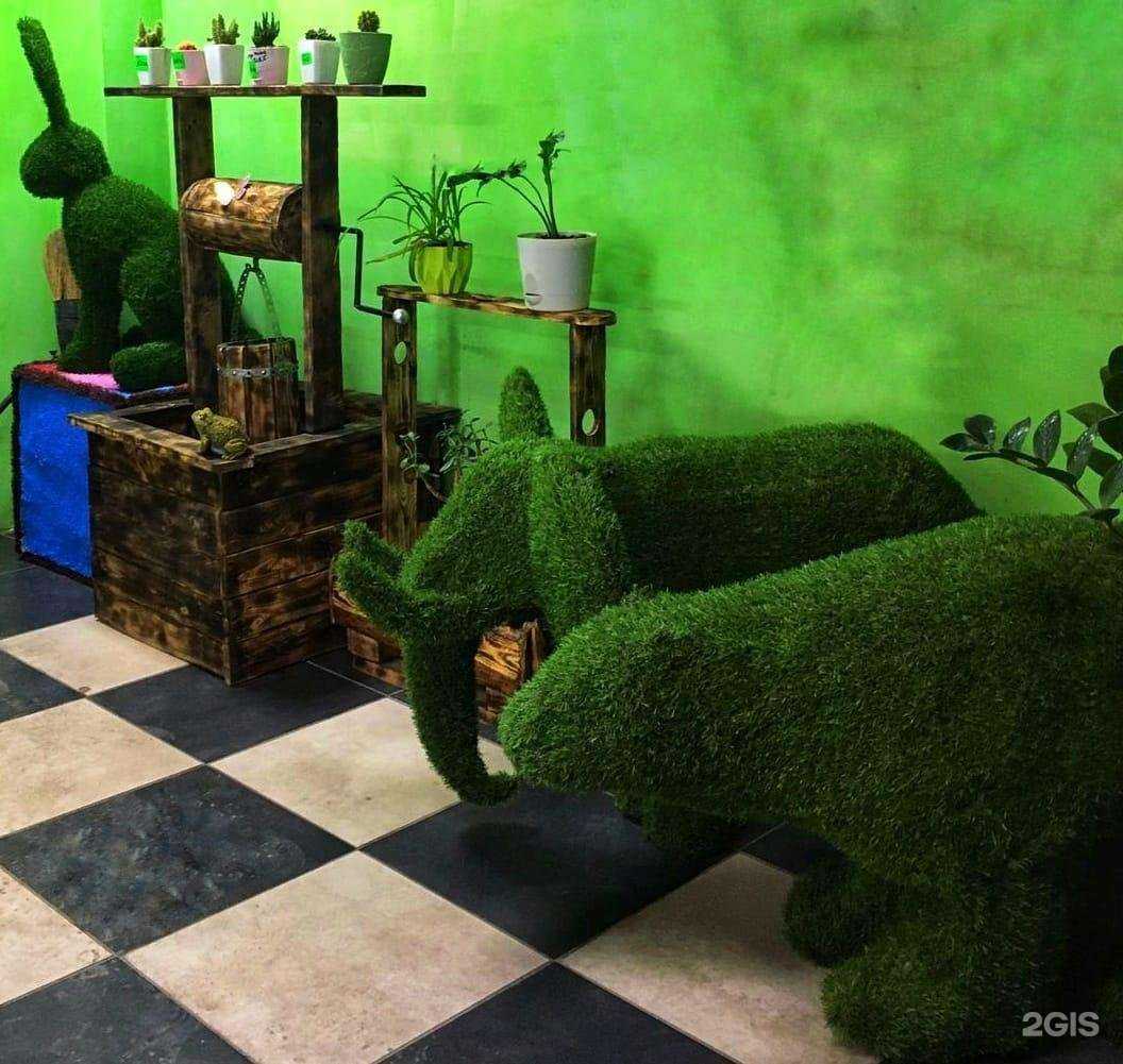 Отзывы на компанию Сады Камалы в г. Кемерово c фото