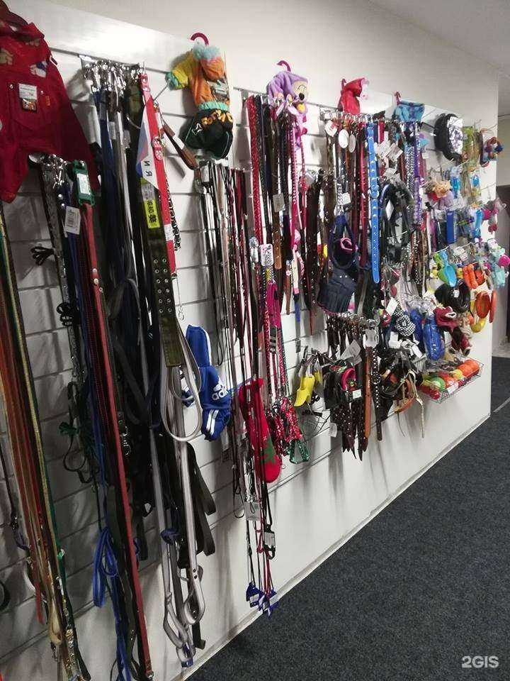 Отзывы на компанию Собачье дело в г. Томск c фото