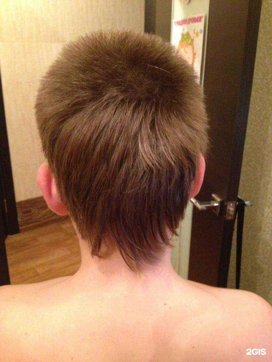 Отзывы на компанию Феличита в Кемерове c фото