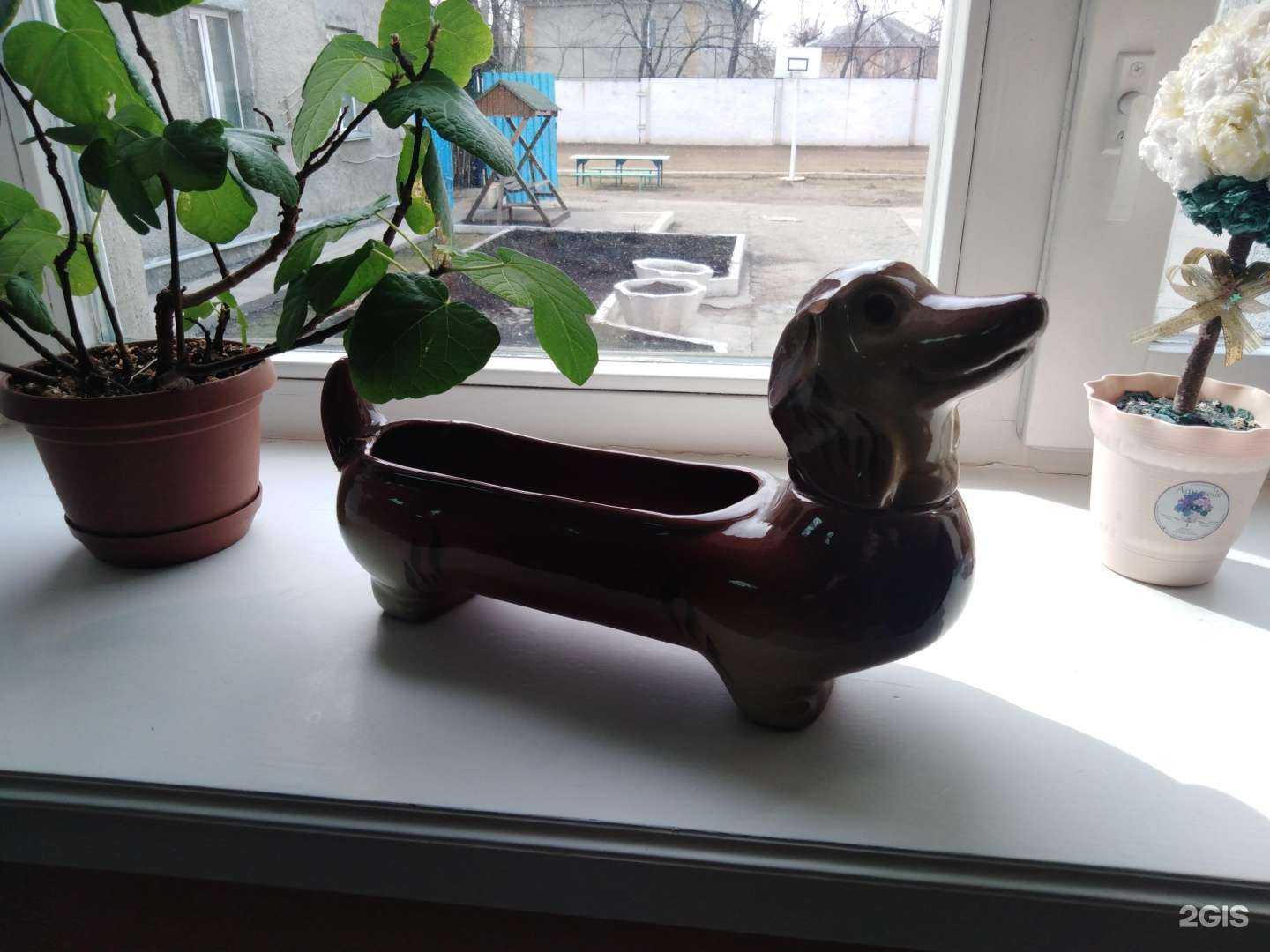 Отзывы на Кузбасский клинический наркологический диспансер им. профессора Н.П. Кокориной в г. Кемерово Отзывы на компанию Кузбасский клинический наркологический диспансер им. профессора Н.П. Кокориной в г. Кемерово c фото