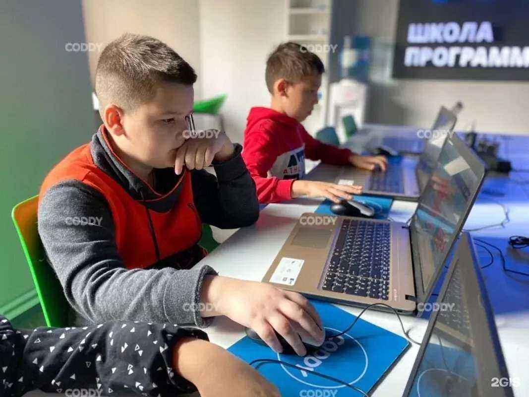 Отзывы на компанию Coddy в Пятигорске c фото