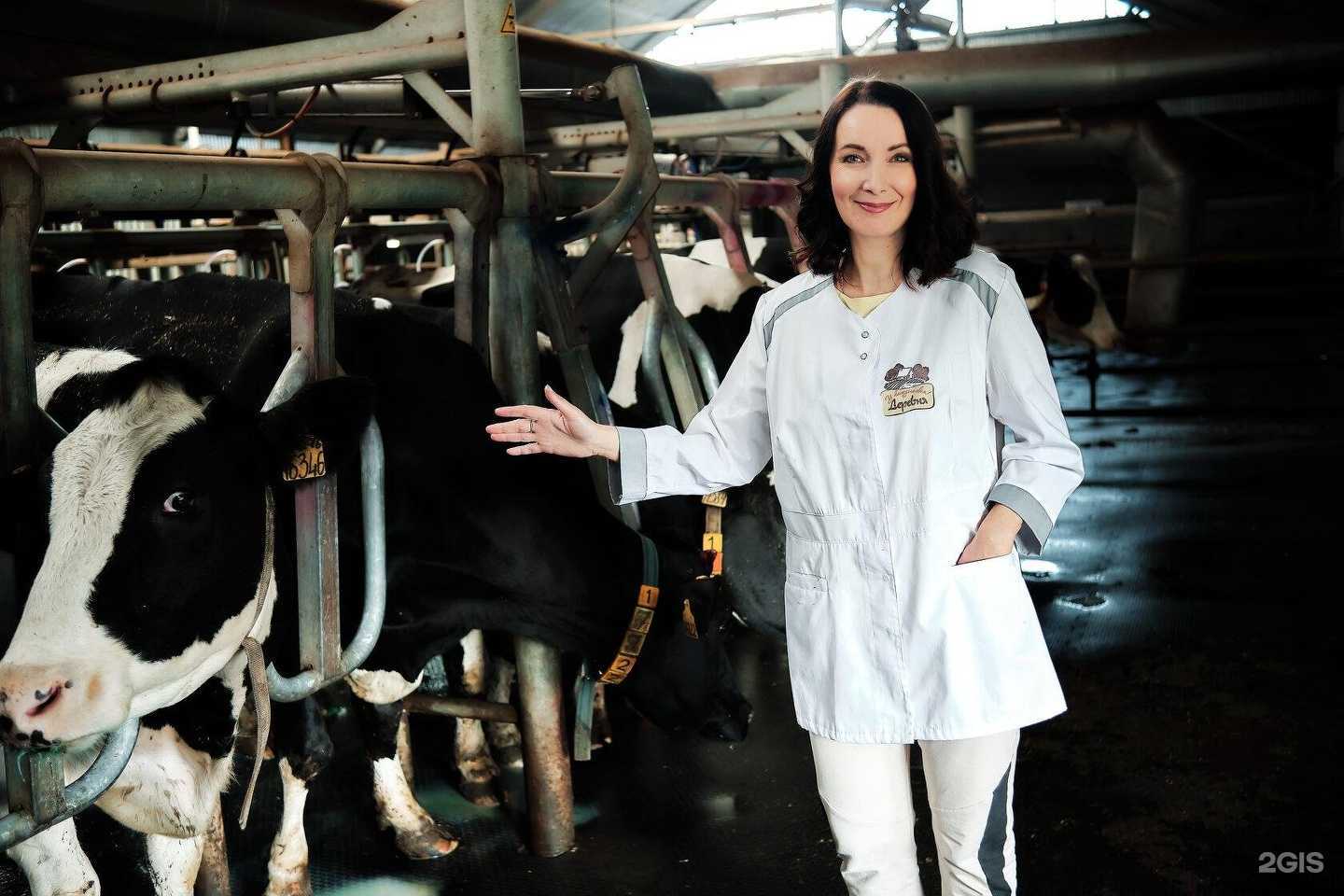 Отзывы на компанию У каждого своя деревня в Рязани c фото