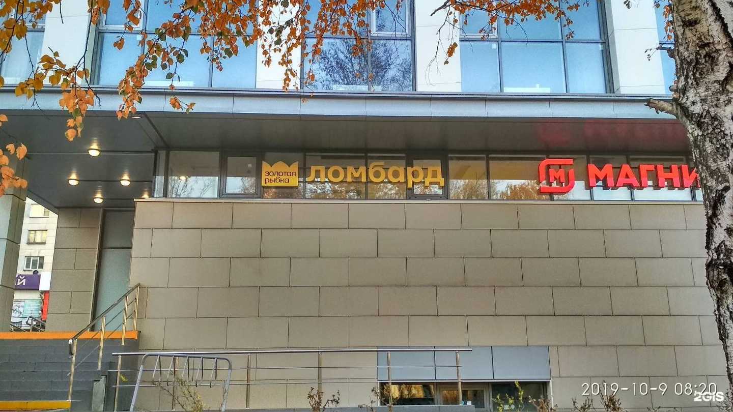 Отзывы на компанию Золотая рыбка в Челябинске c фото