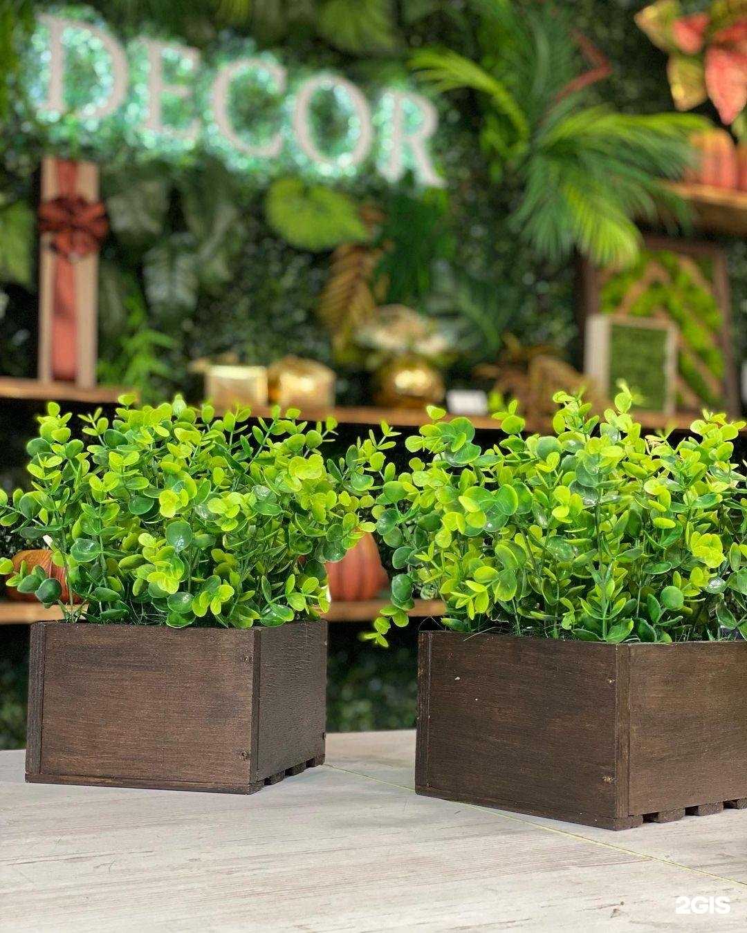 Отзывы на компанию Decor в Пензе c фото