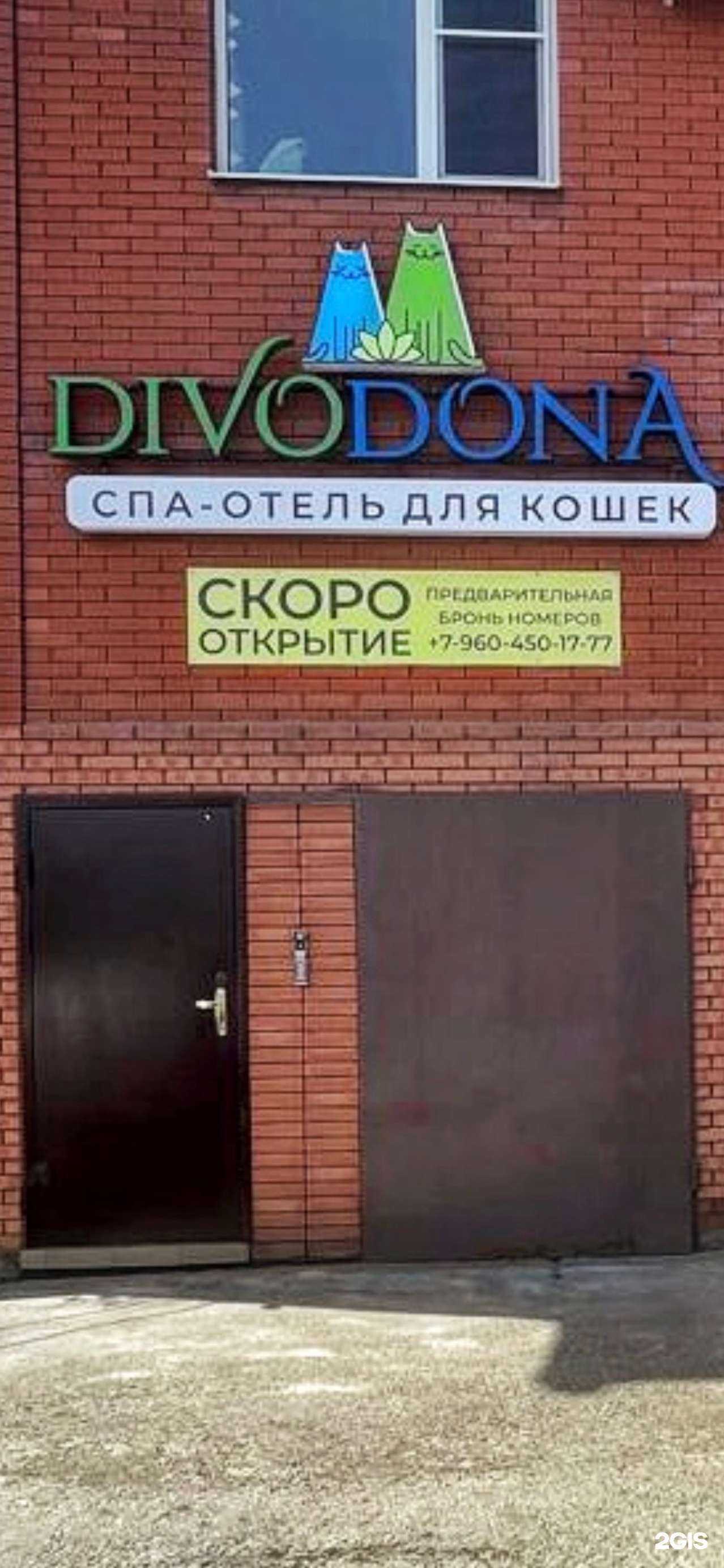 Отзывы на компанию Divodona в Ростове-на-Дону c фото