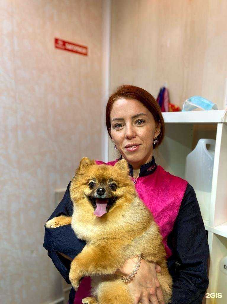 Отзывы на компанию ZooDiscount в Магнитогорске c фото