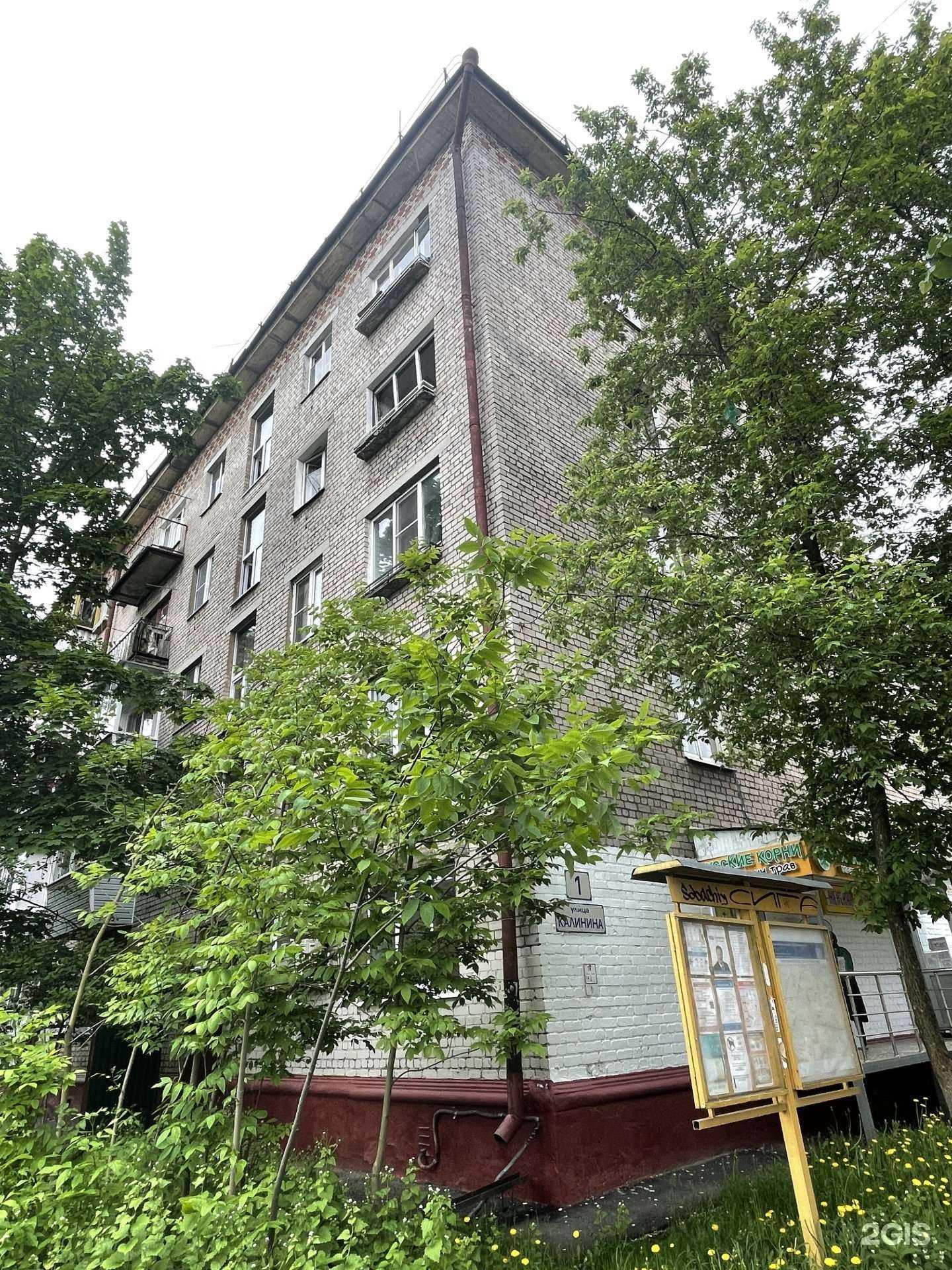 Отзывы на компанию Русские Корни в Королёве c фото - фотография 2 из 2