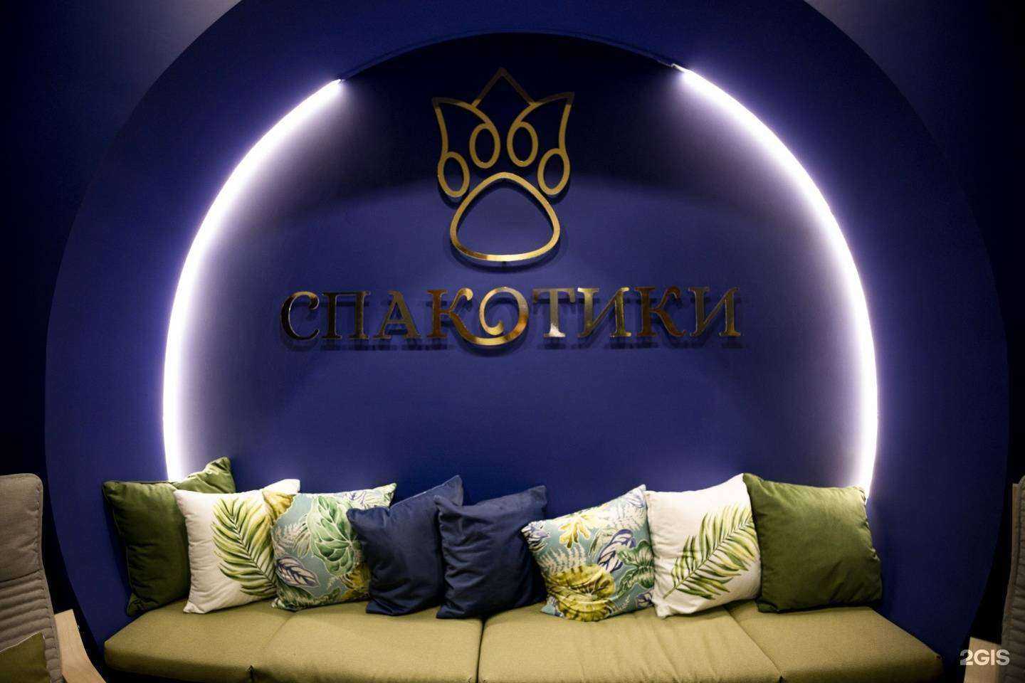 Отзывы на компанию Спакотики в г. Калининград c фото