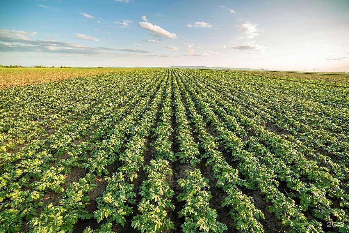 Отзывы на компанию АгроСпрейЭкспертс в Ставрополе c фото