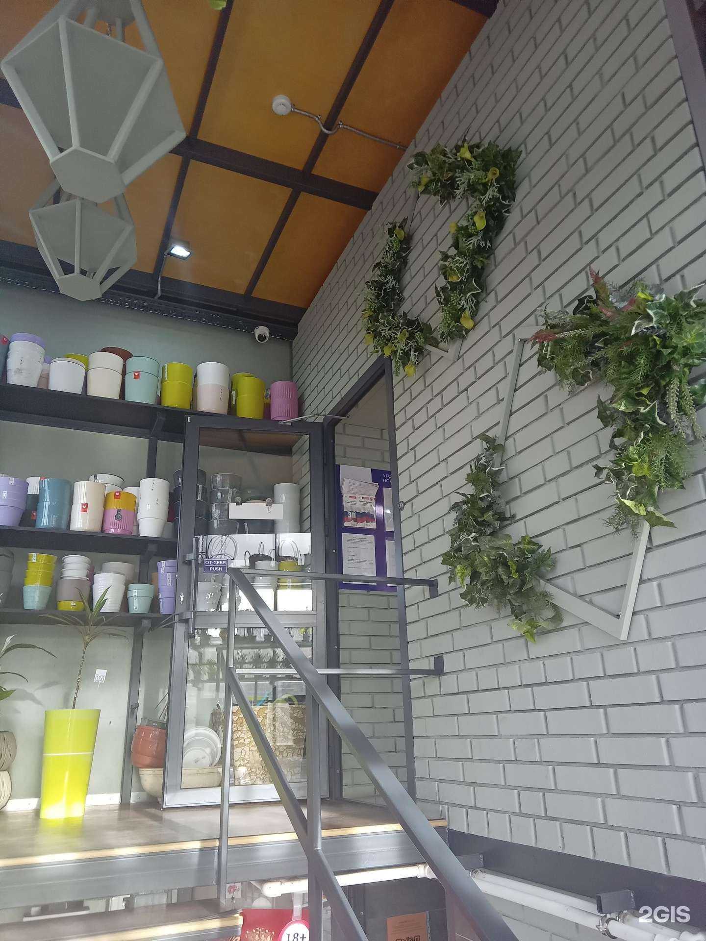 Отзывы на компанию Оазис в Улан-Удэ c фото