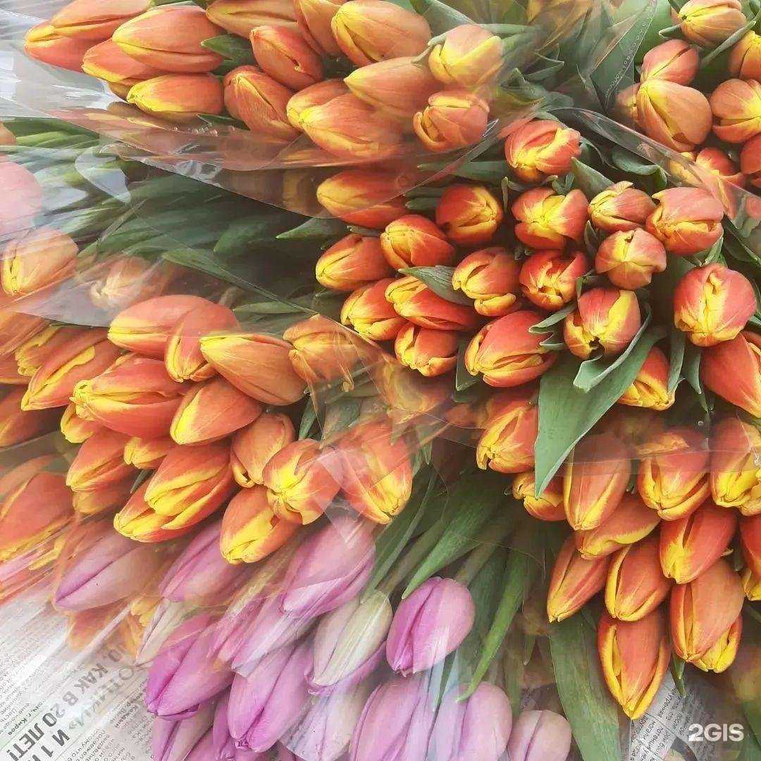 Отзывы на компанию Мастер и Маргаритка в г. Первоуральск c фото