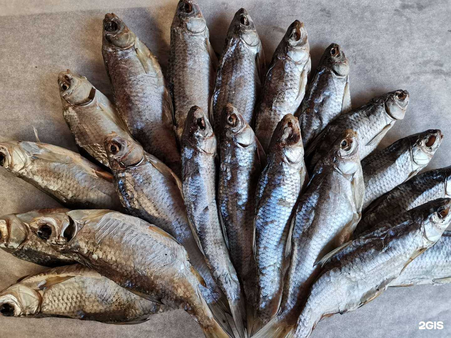 Отзывы на компанию Куда-нибудь в Пятигорске c фото