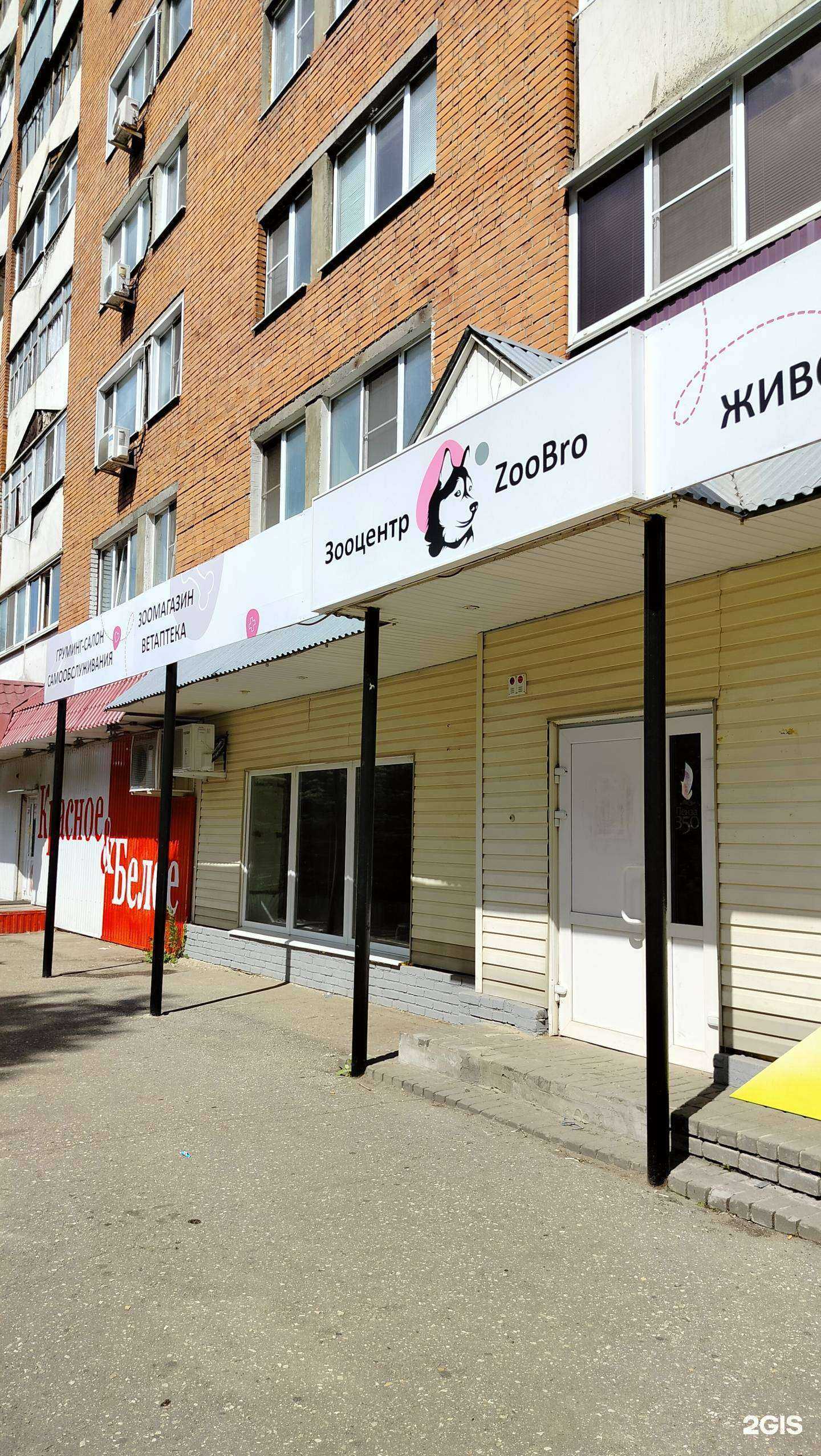 Отзывы на компанию ZooBro в Пензе c фото