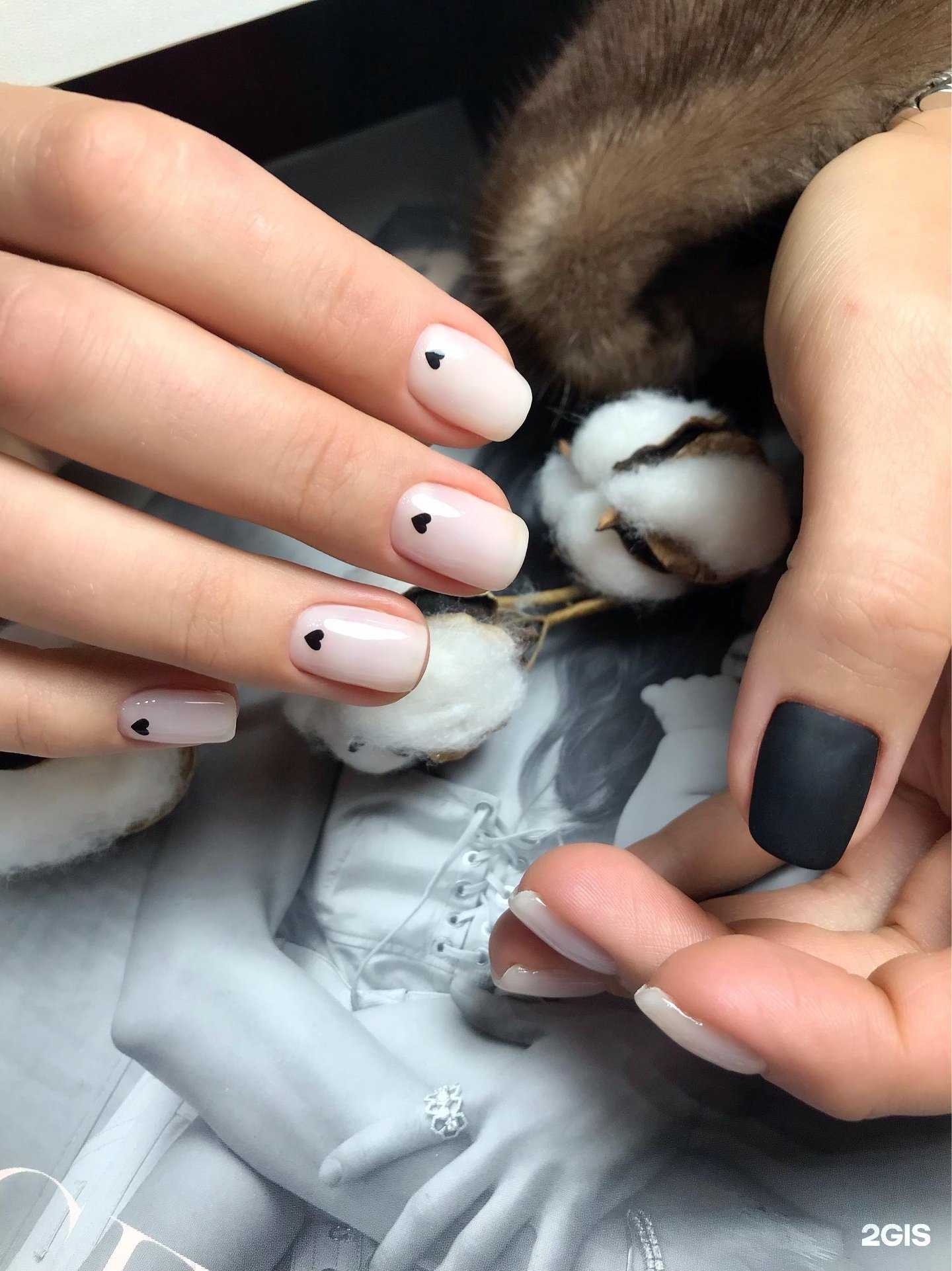 Отзывы на компанию Клевер в Саратове c фото