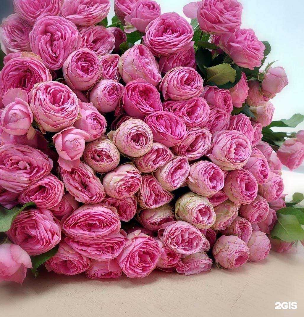 Отзывы на компанию АртФлора в Ульяновске c фото