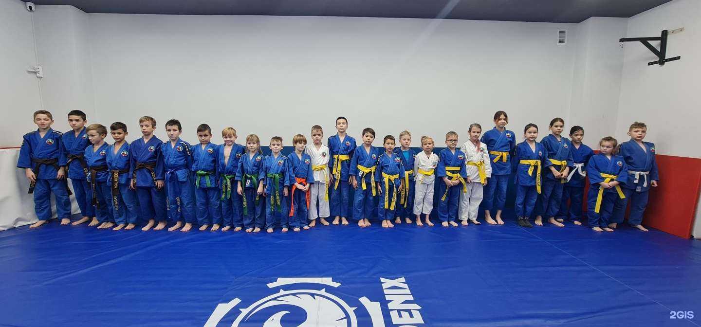 Отзывы на компанию Академия реального айкидо в Казани c фото