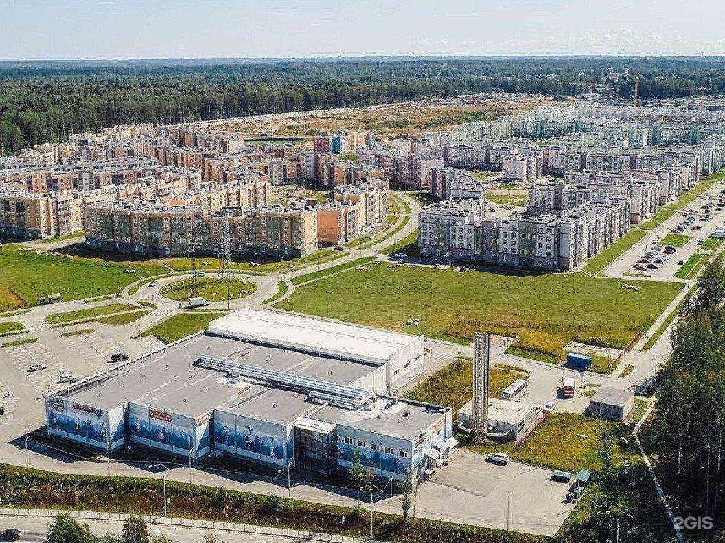 Отзывы на компанию Ленинградская областная школа боевых искусств в Сертолове c фото