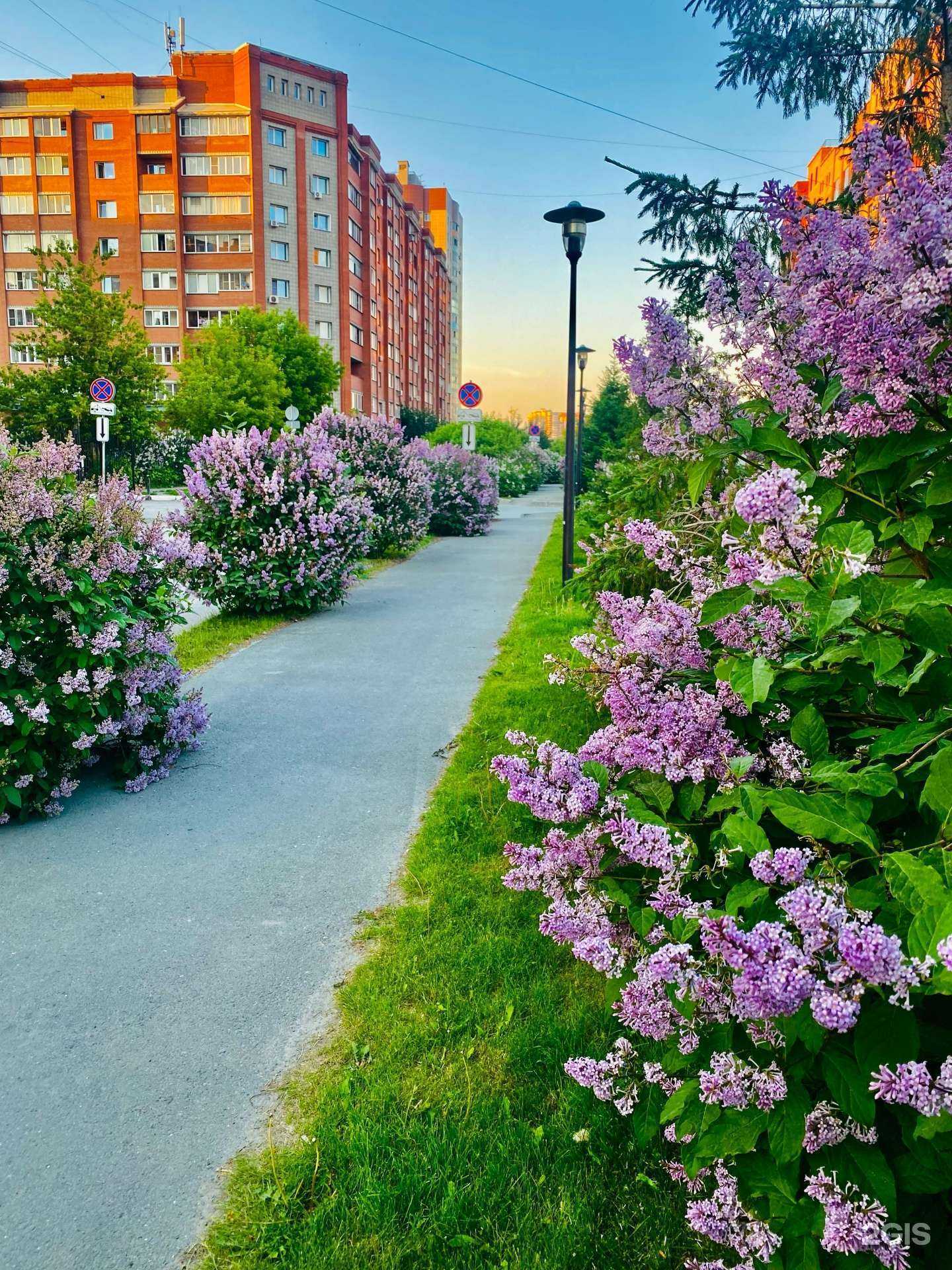 Отзывы на компанию Сверлан в Новосибирске c фото - фотография 2 из 2