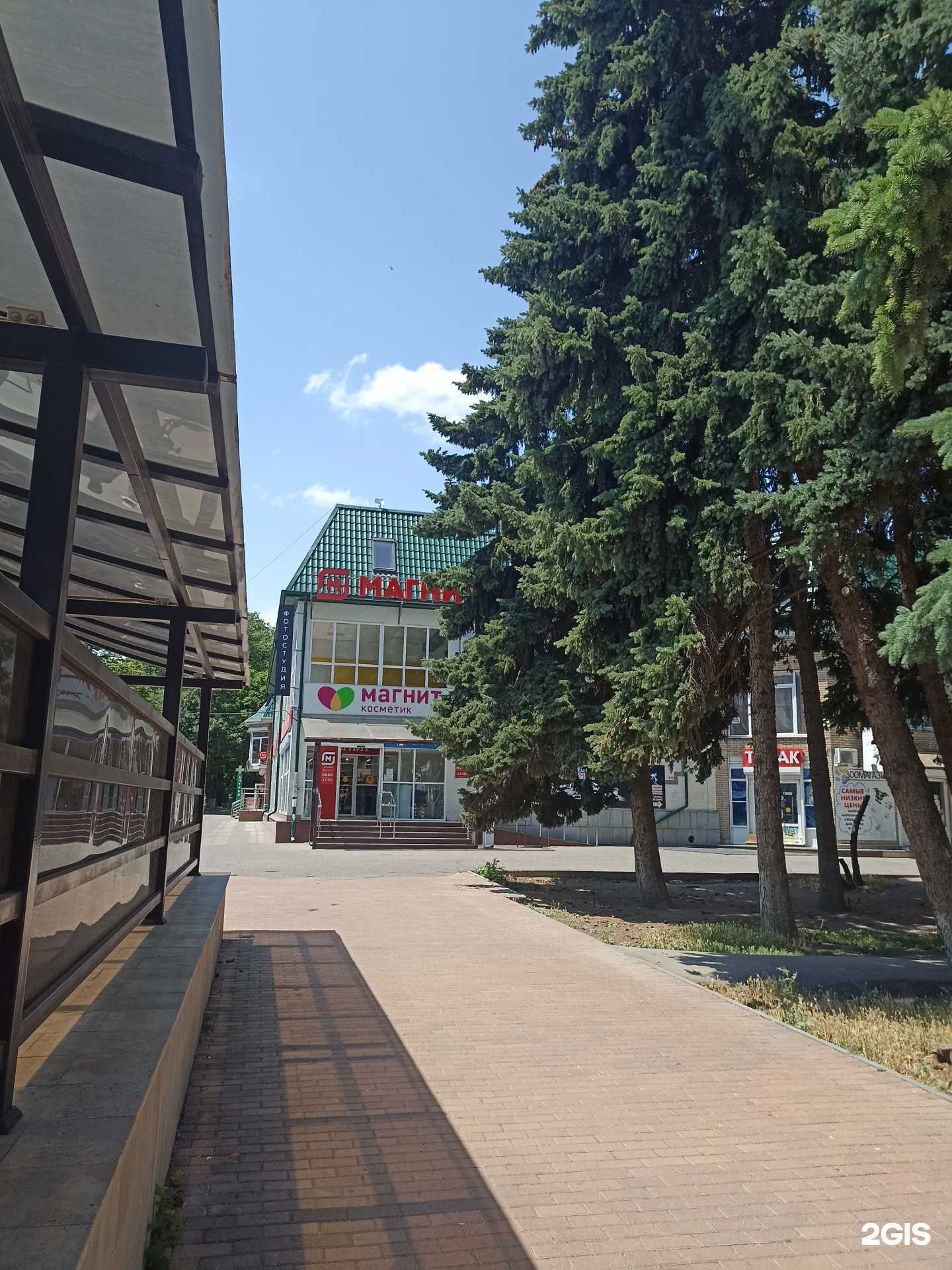 Отзывы на компанию Доброшкола в г. Ессентуки c фото