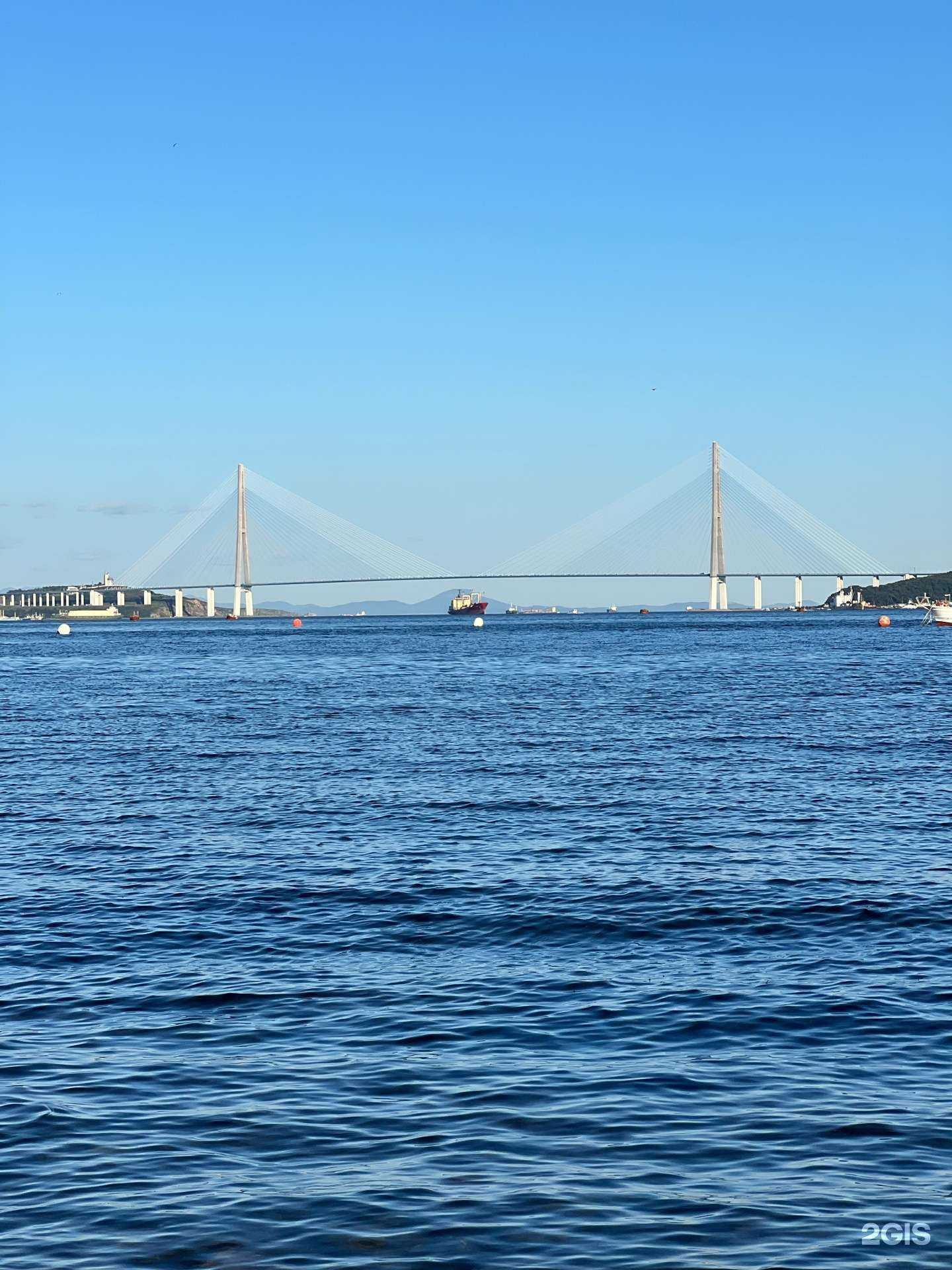 Отзывы на компанию Crab house в Владивостоке c фото