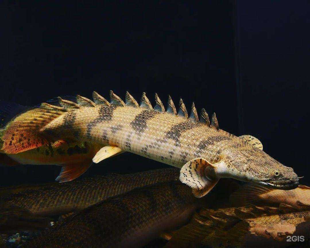 Отзывы на компанию H2O в Улан-Удэ c фото