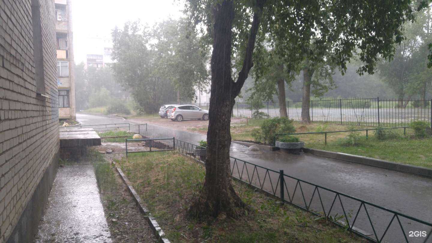 Отзывы на компанию Артишок в Великом Новгороде c фото - фотография 2 из 2