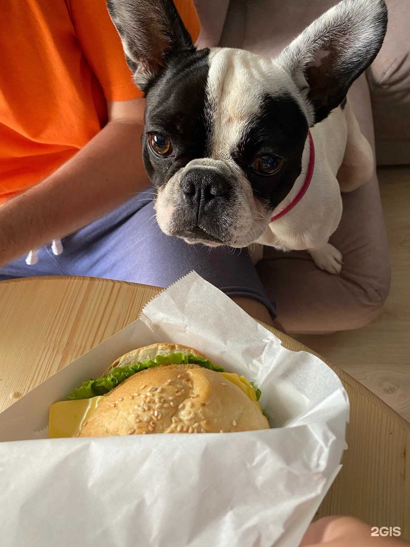 Отзывы на компанию Just Burger в Великом Новгороде c фото