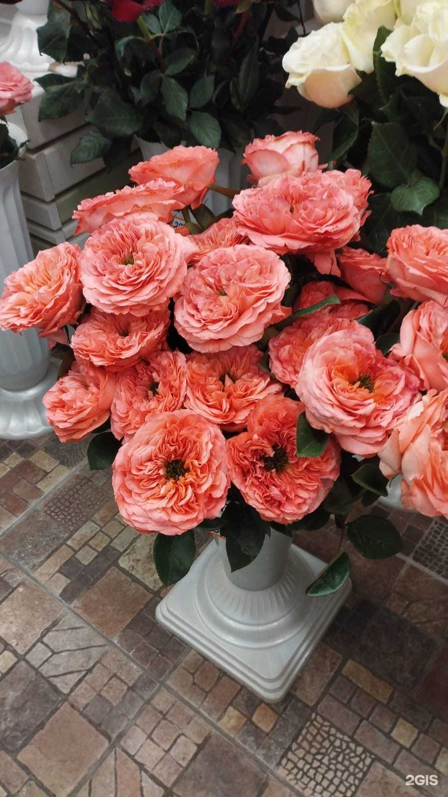 Отзывы на компанию Flori Anna в Калининграде c фото