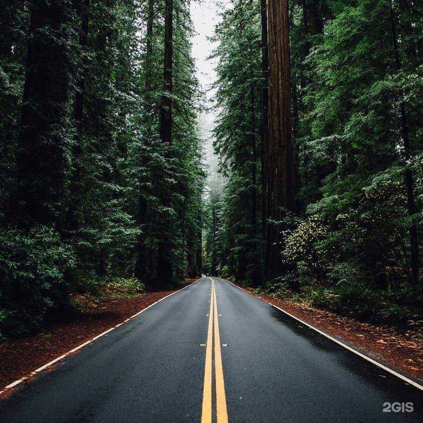 Отзывы на компанию Гермес-регион в Перми c фото