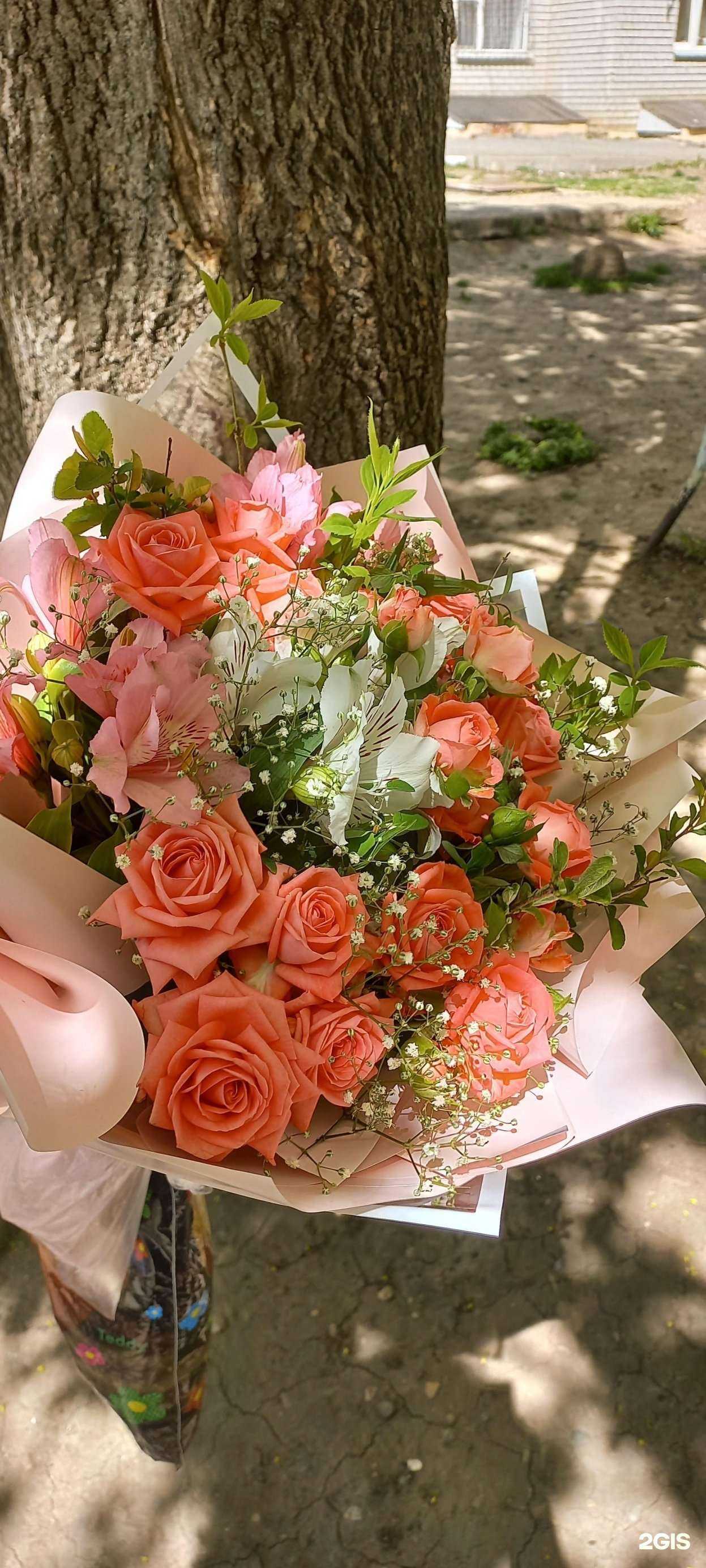 Отзывы на компанию Аленький Цветочек в Ставрополе c фото