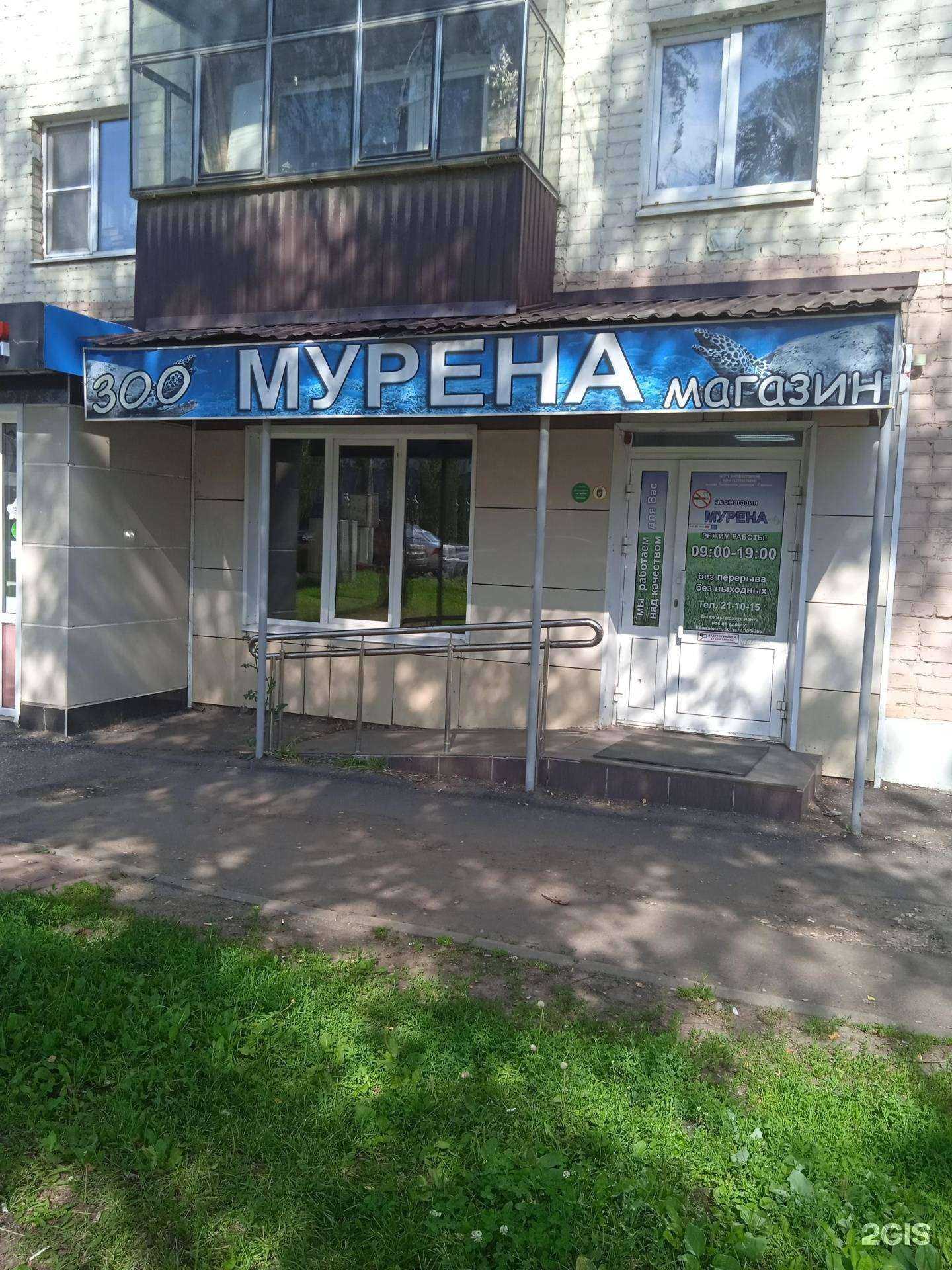 Отзывы на компанию Мурена в Саранске c фото