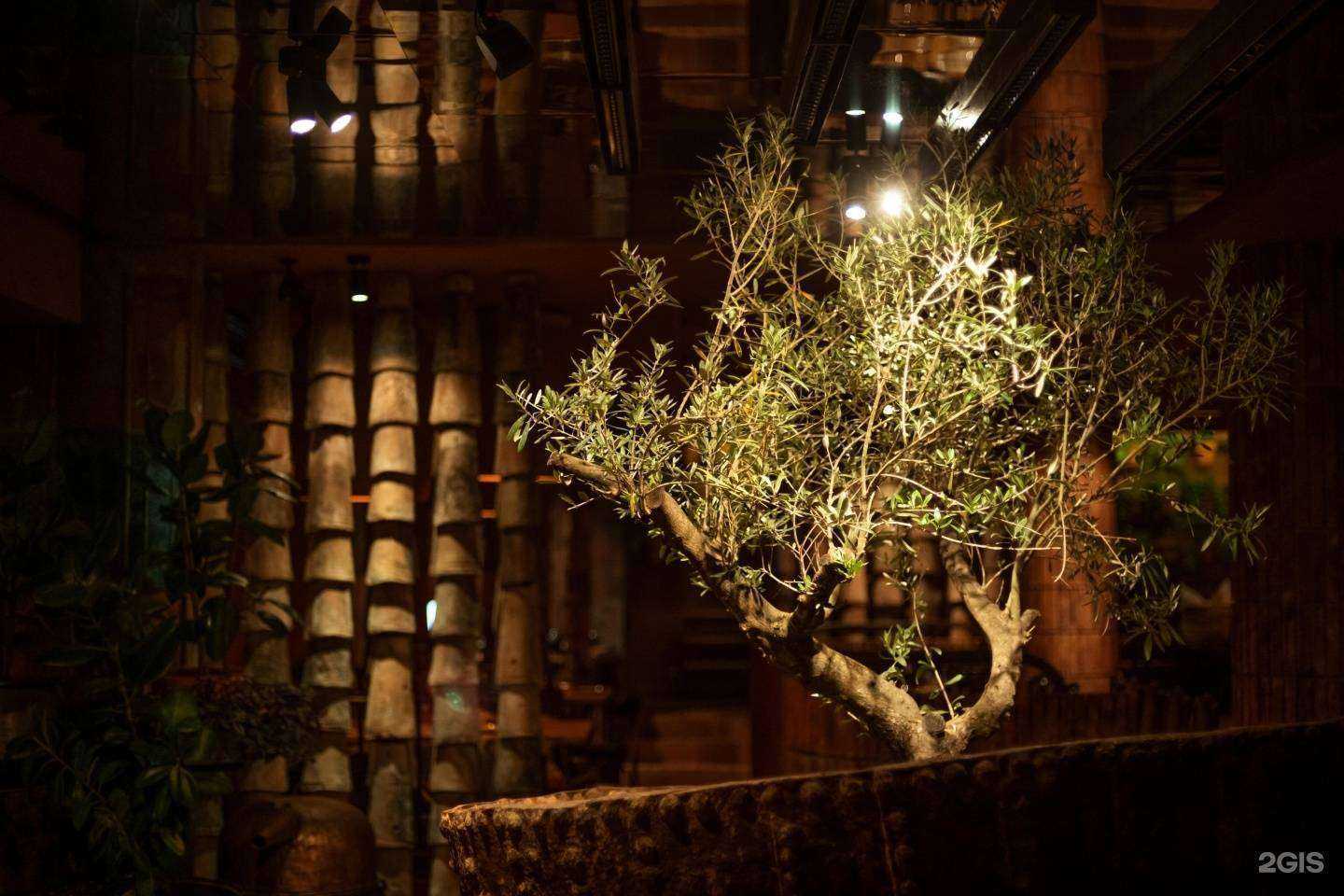 Отзывы на компанию Супра Диди в Владивостоке c фото