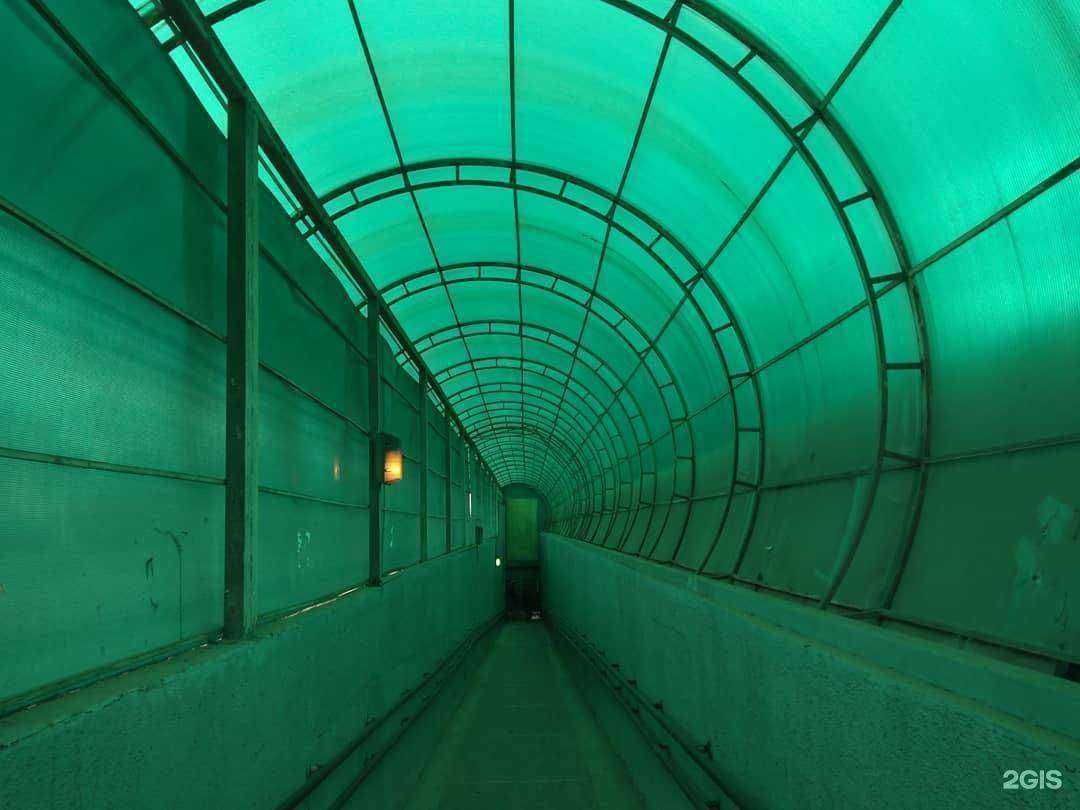 Отзывы на компанию Магазин кондитерских изделий в Красноярске c фото - фотография 2 из 2