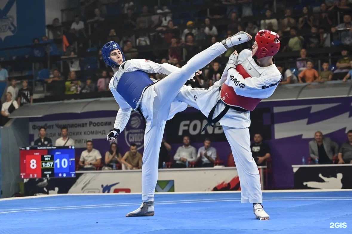 Отзывы на компанию Сила и Разум в г. Владивосток c фото