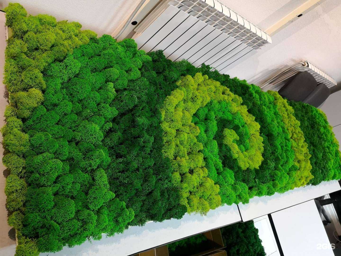 Отзывы на компанию DreamLand в г. Новоуральск c фото