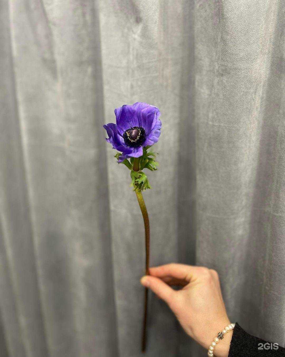 Отзывы на компанию Ромашка в Лыткарине c фото