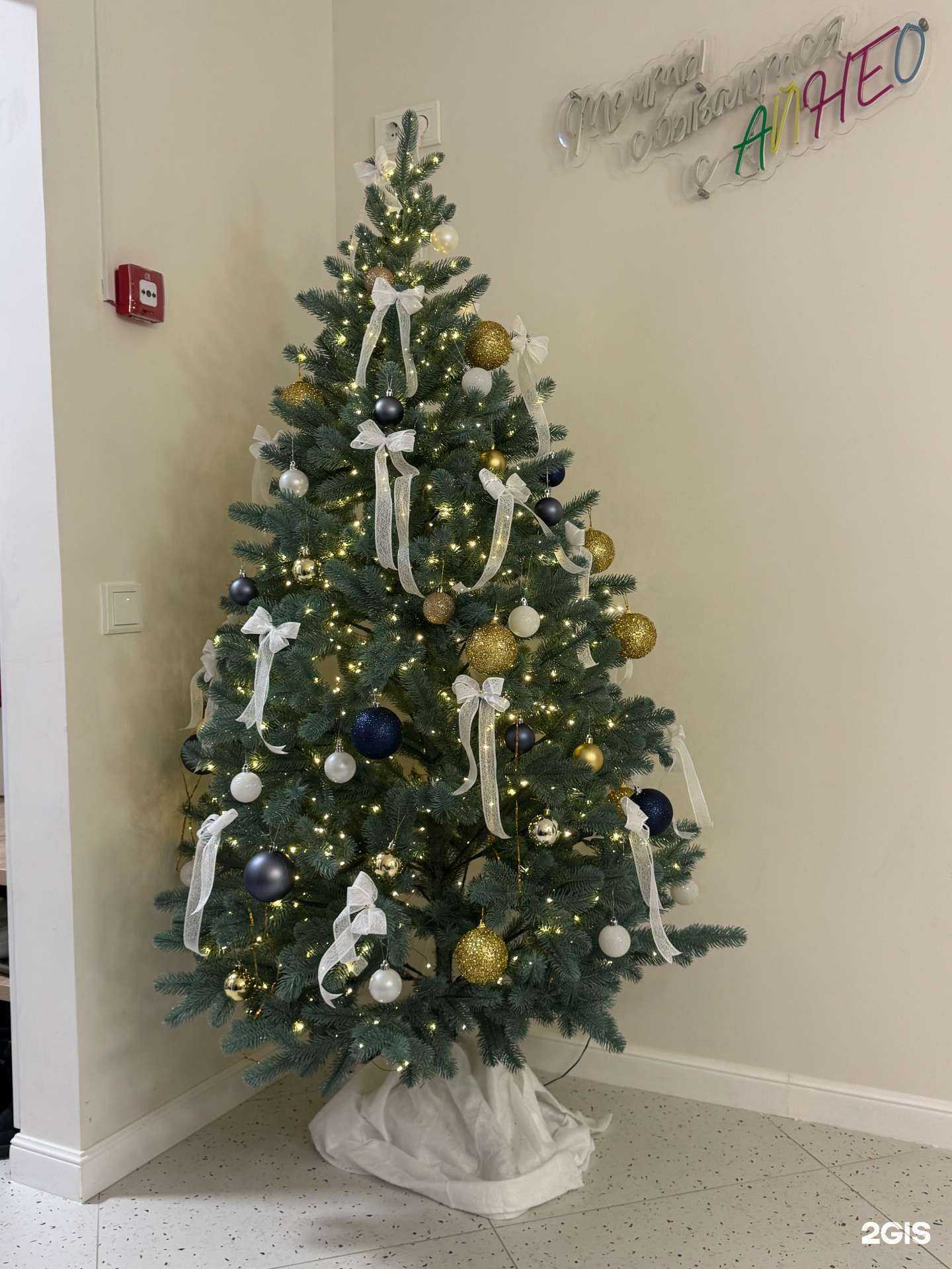 Отзывы на компанию АйНео в г. Саратов c фото