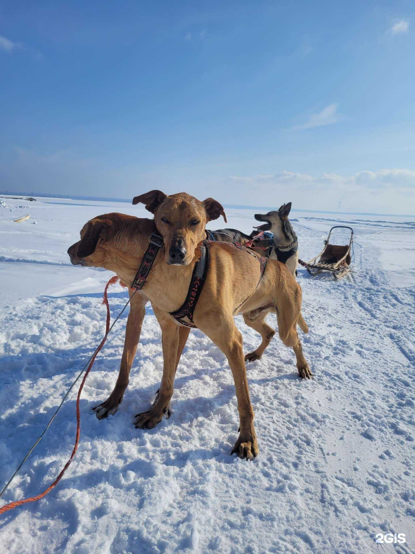 Отзывы на компанию TopRide_rm в Новосибирске c фото
