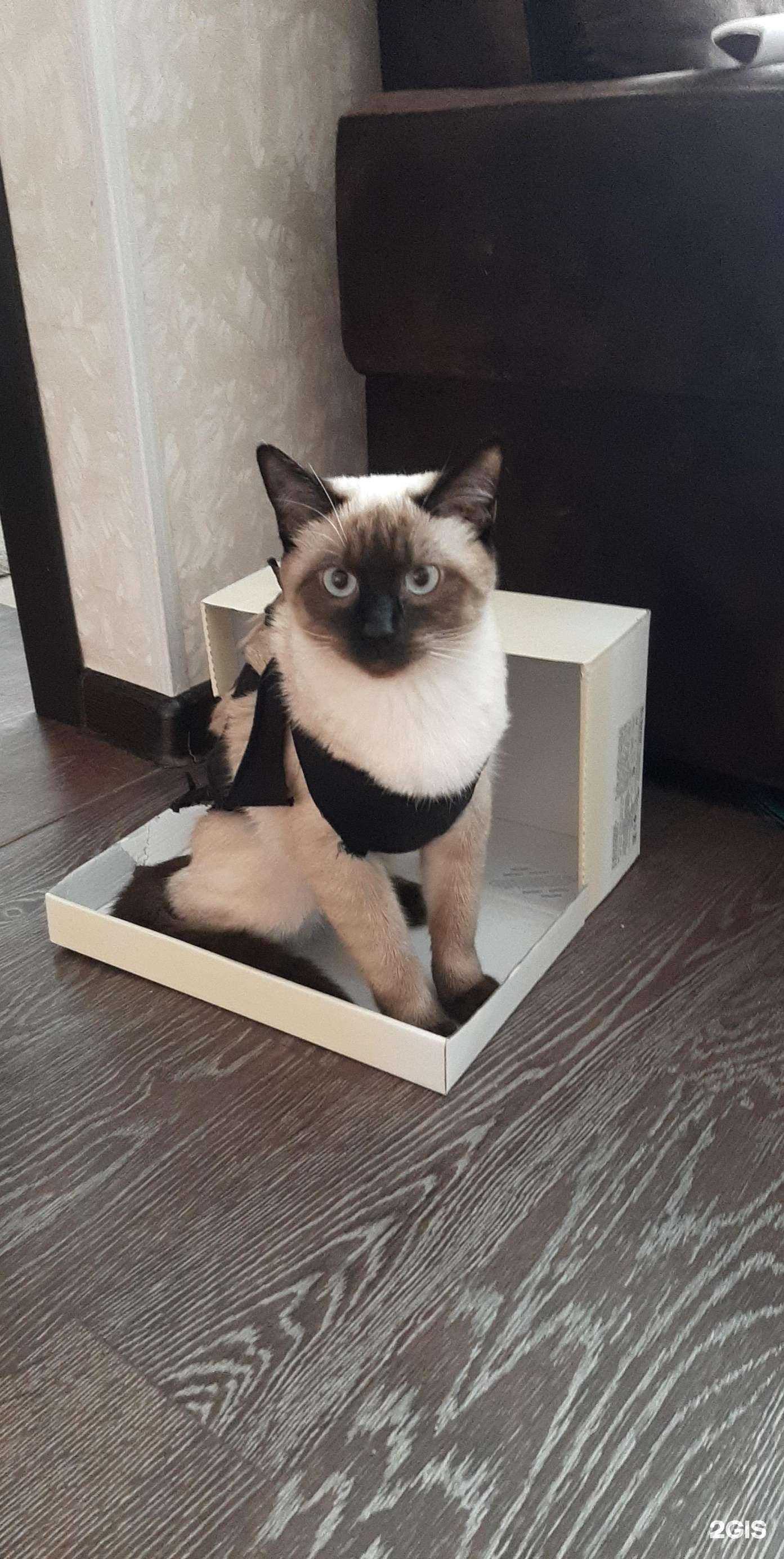 Отзывы на компанию Нефрон в г. Артём c фото