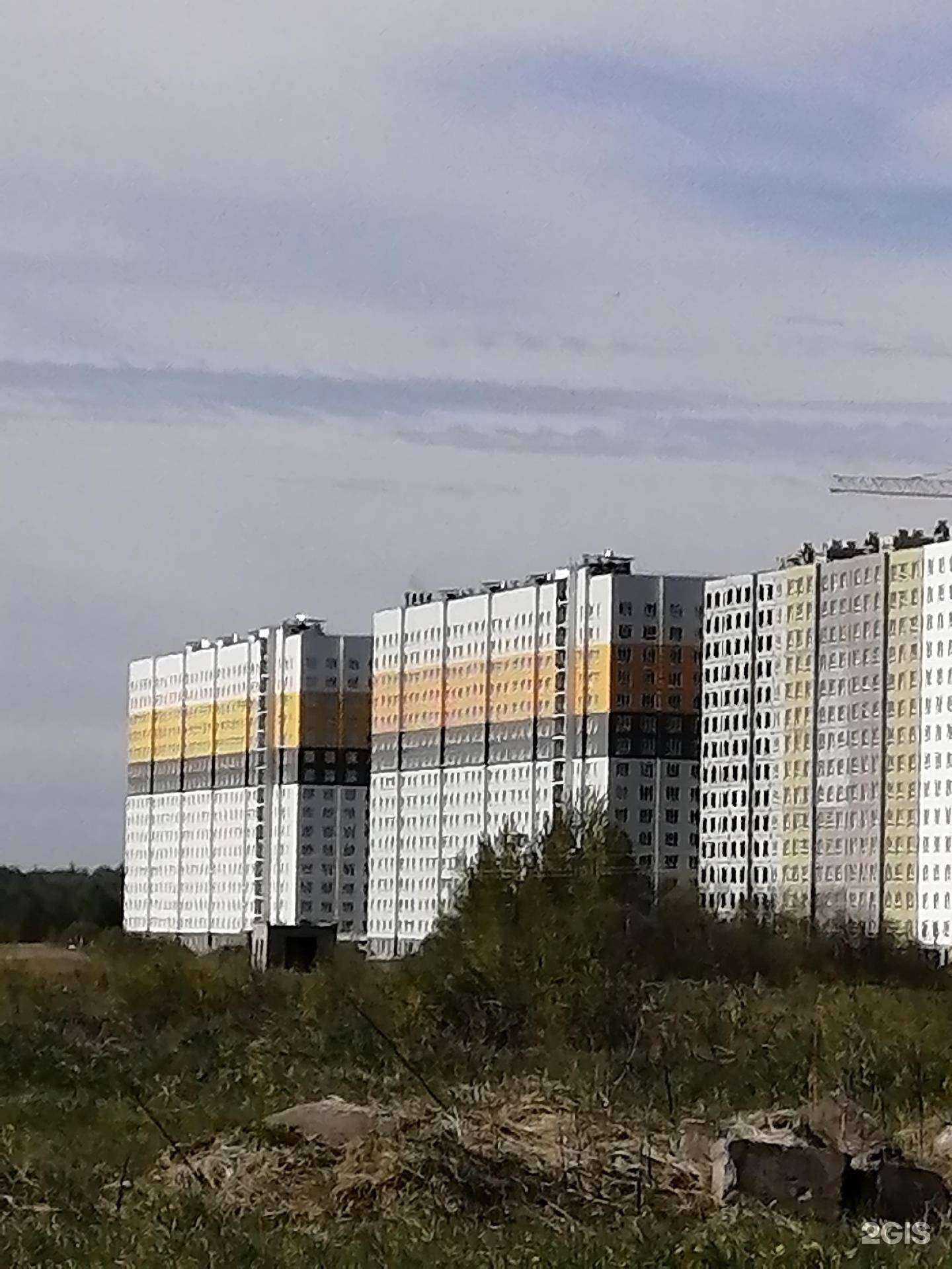 Отзывы на компанию Колибри в Твери c фото - фотография 2 из 2