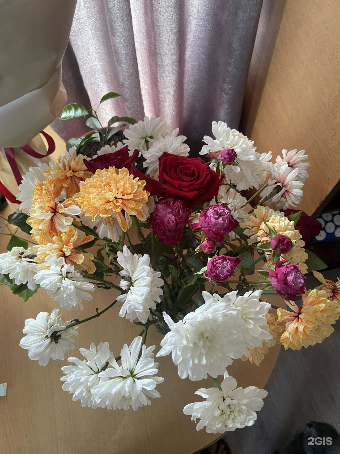 Отзывы на компанию Орхидея в Анжеро-Судженске c фото