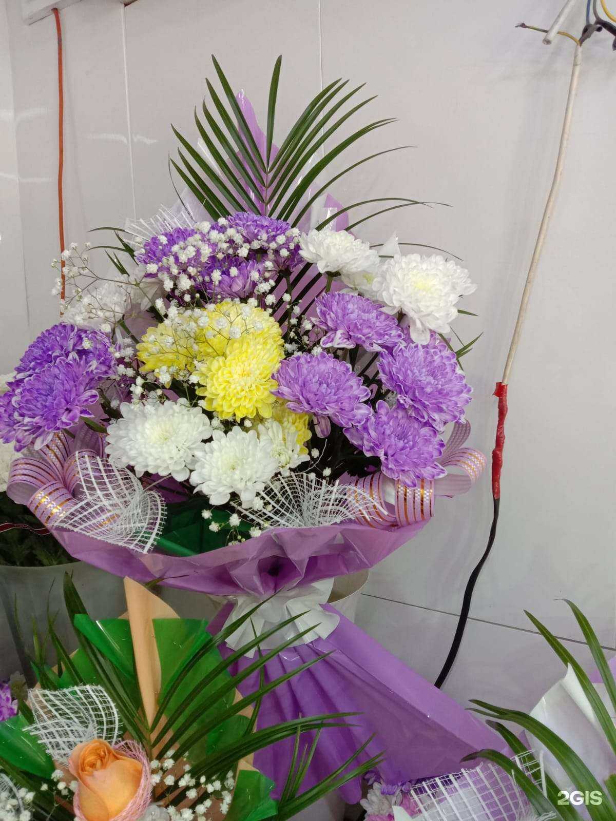 Отзывы на компанию Алена в Барнауле c фото