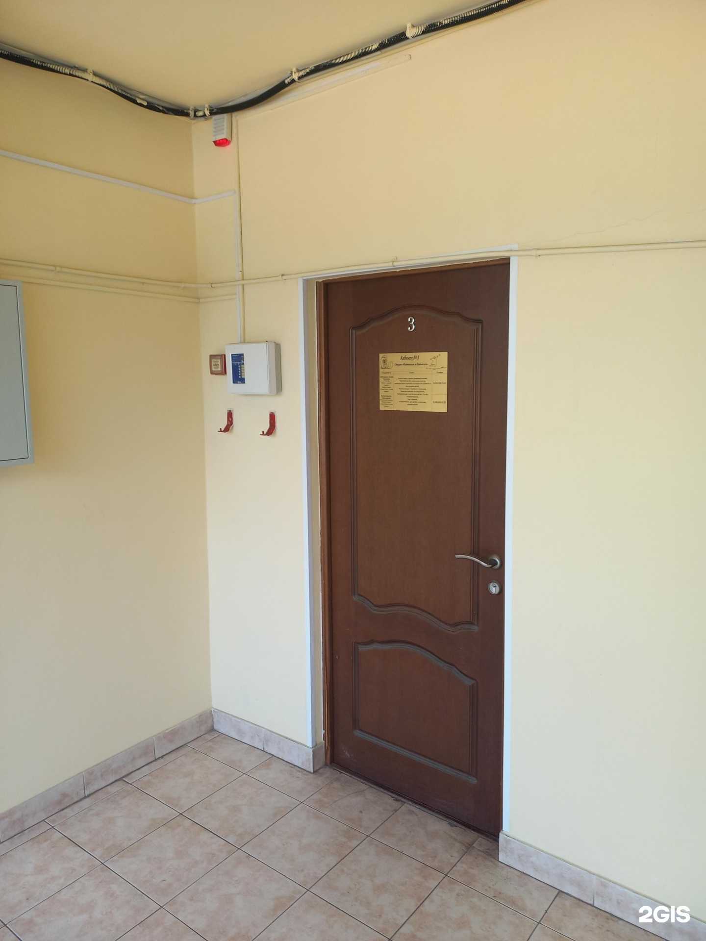 Отзывы на компанию Развивашки и буквоежки в Сочи c фото