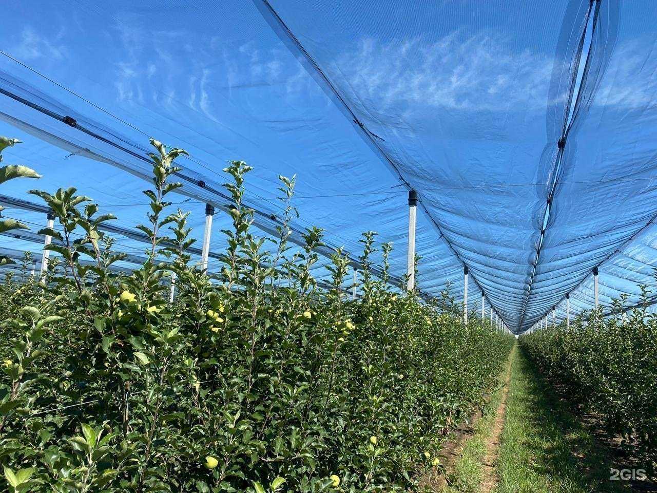 Отзывы на компанию Агротехимпорт в г. Краснодар c фото